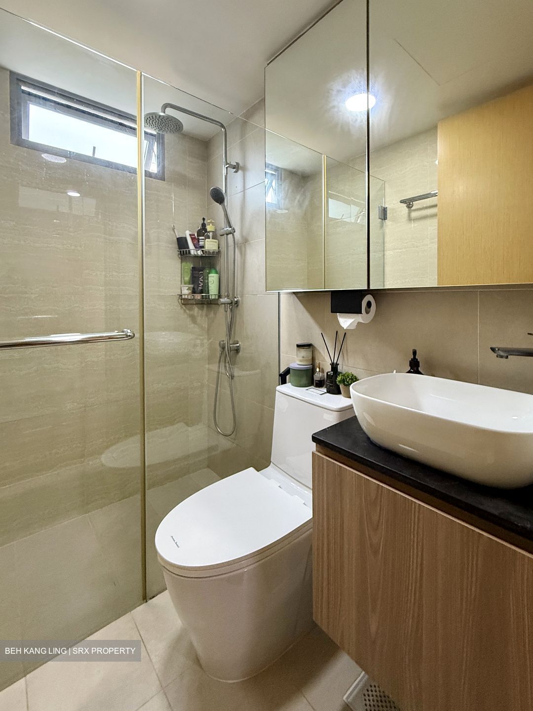 A Treasure Trove (D19), Condominium #615836141